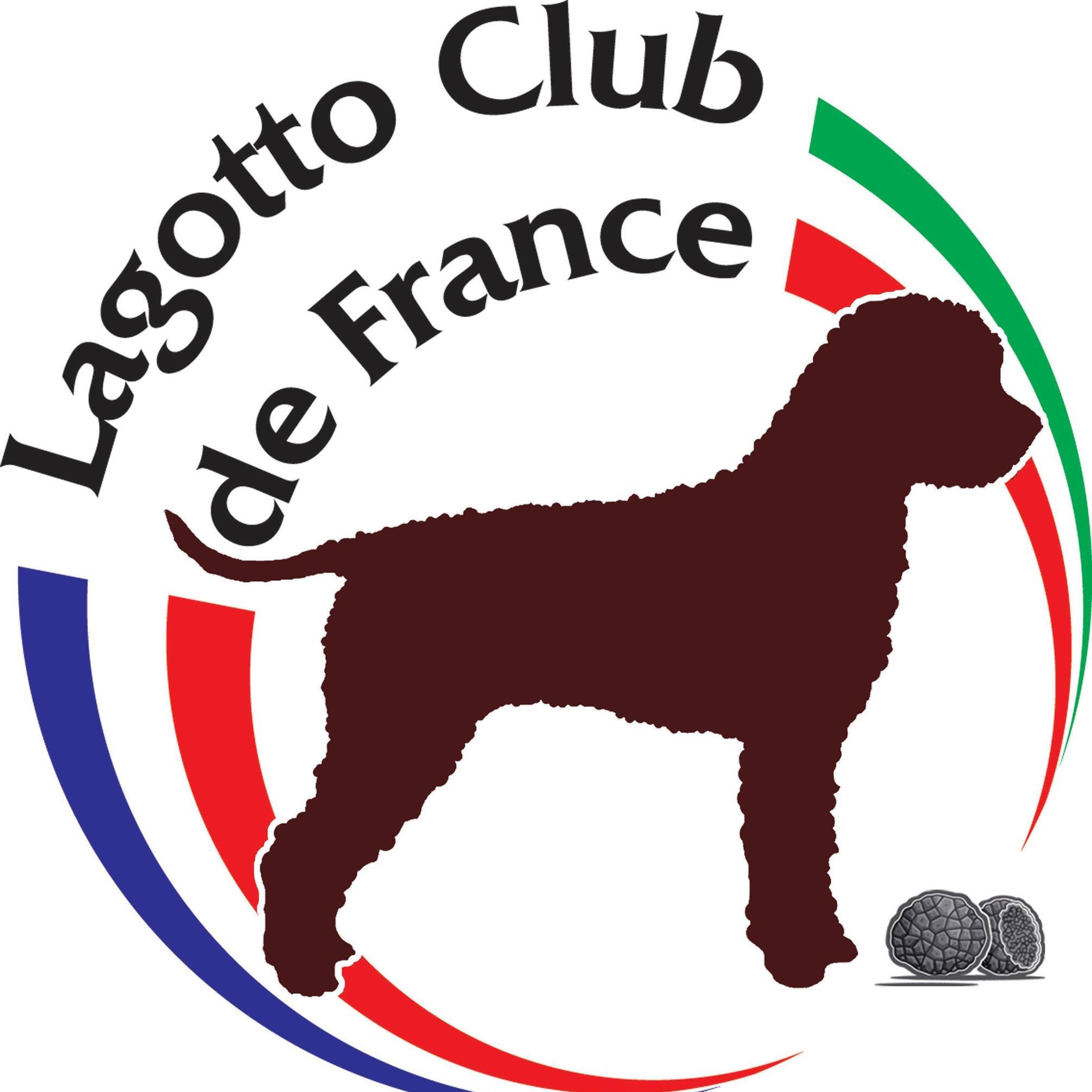 RE Lagotto
